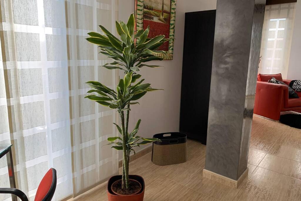 Apartamento Miramar . Amplitud Y Comodidad Almazora Exterior foto